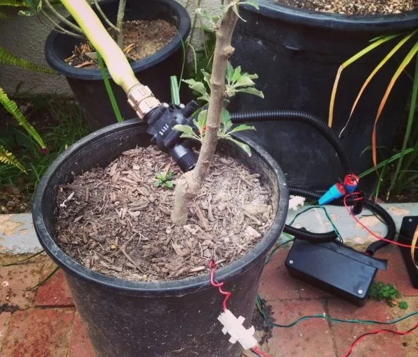Raspberry Pi Irrigation Controller