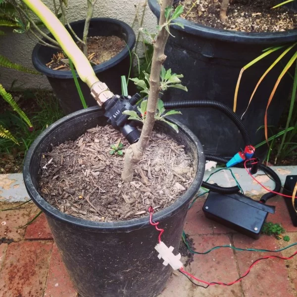 Raspberry Pi Irrigation Controller