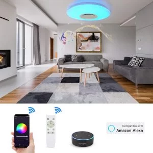 Smart Home Ceiling Light