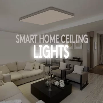 Smart Home Ceiling Light