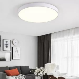 Smart Home Ceiling Light