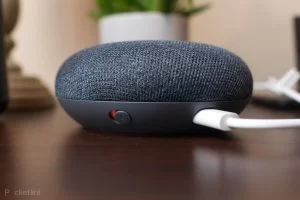 mini in Use Google Home as a Smart Music Speaker in Two Different Ways