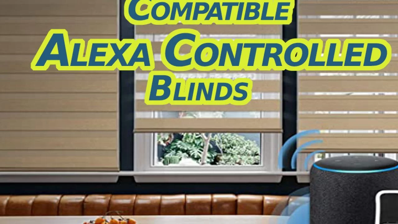 motorized blinds amazon echo