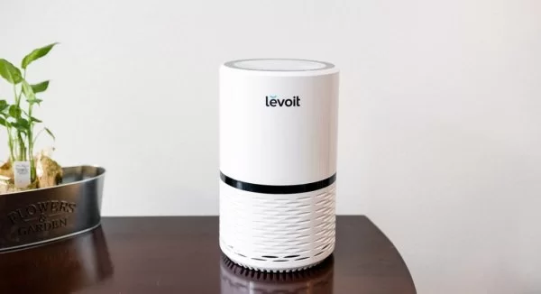 Do Air Purifiers Eliminate Odors?