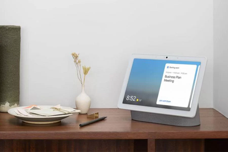 zoom google nest hub