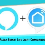 Alexa Smart Life Light Commands