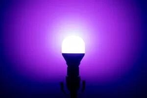 Best Smart Light Bulbs 2021