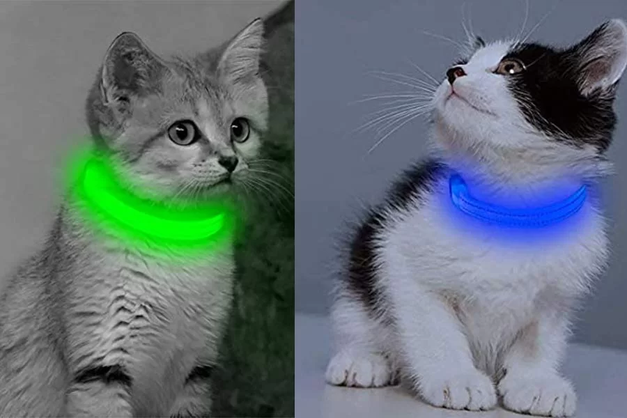 Glow Track Light Up Collars for Cats