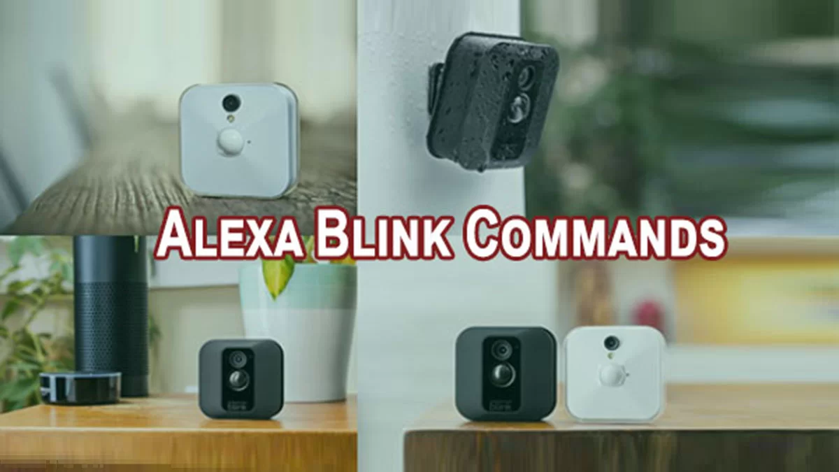 alexa and blink xt