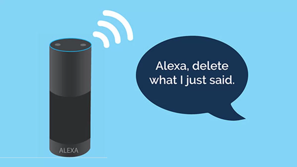 Delete Your Alexa History