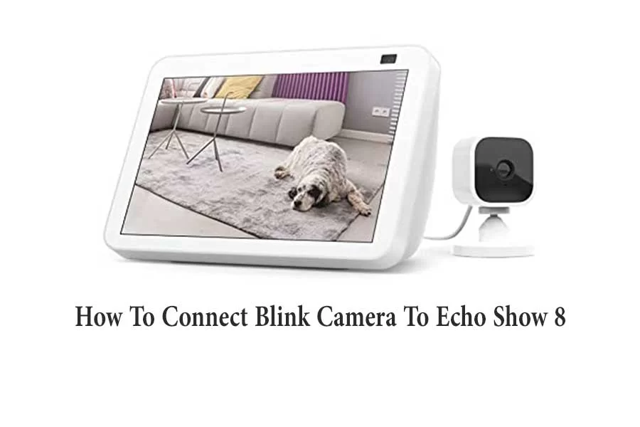 Charcoal fabric Blink Mini Camera Works with Alexa Echo Show 8