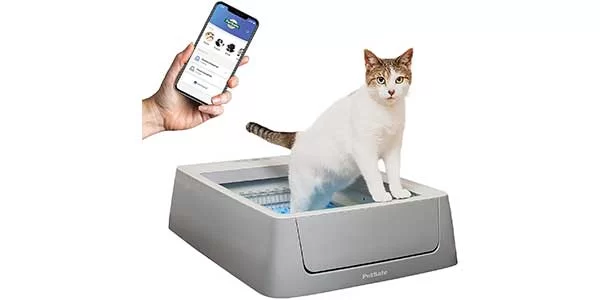 Cats' Favorite Smart Devices