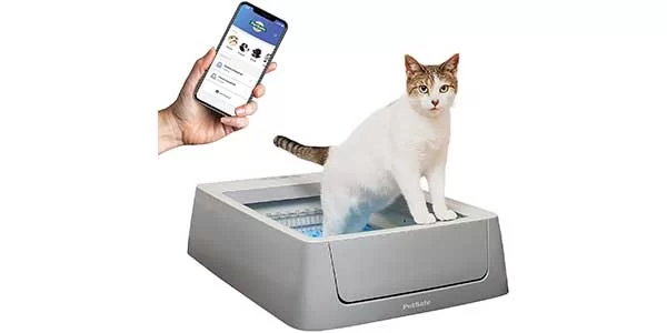 Cats' Favorite Smart Devices 
