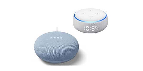 Amazon Echo Dot or Nest Mini
