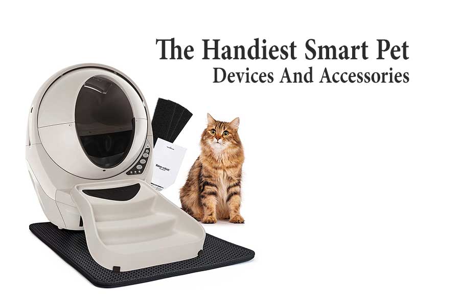 For Your House The Handiest Smart Pet Devices And Accessories
