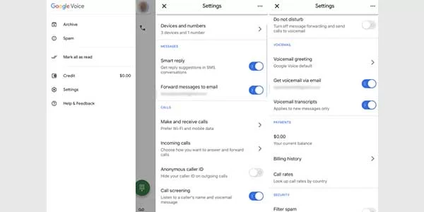 tweak the settings for Google Voice in the mobile app