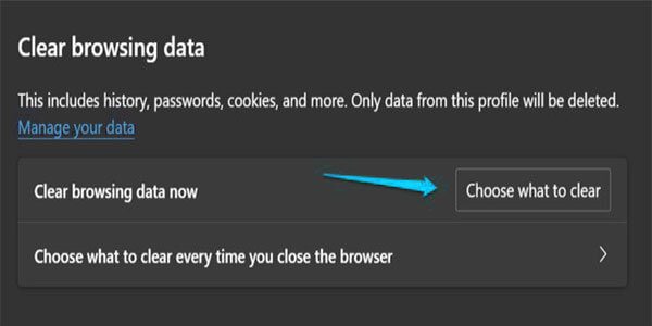 Clear Browser Saved Form Data in Edge 4 1