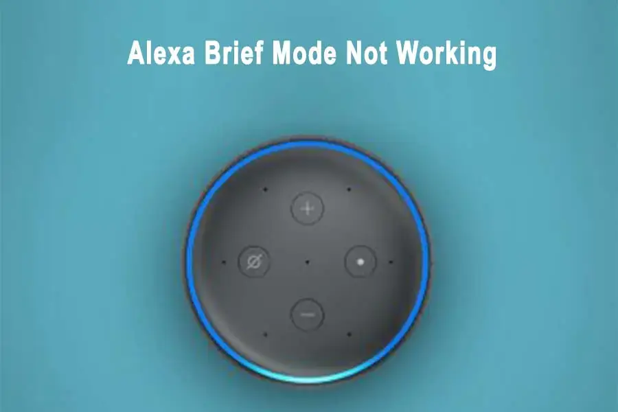 Alexa Brief Mode Not Working 1 1