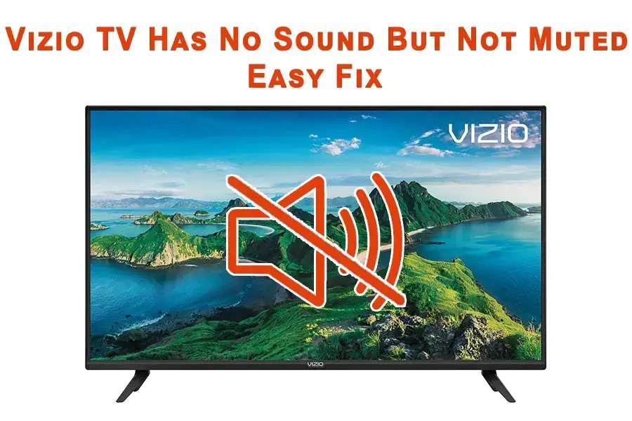 Vizio TV Has No Sound But Not Muted 2