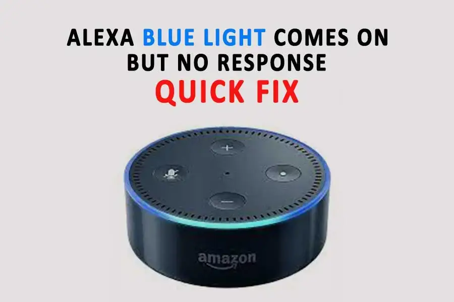 Alexa Blue Light Comes on but no Response (1)
