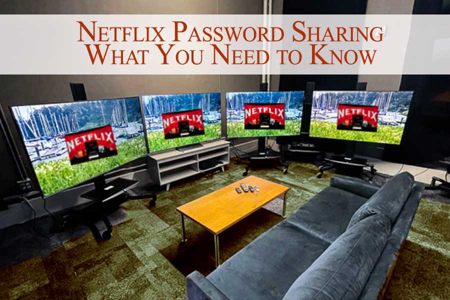 Netflix Password Sharing  What You Need to Know