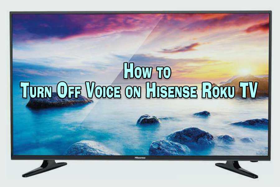 How to Turn Off Voice on Hisense Roku TV